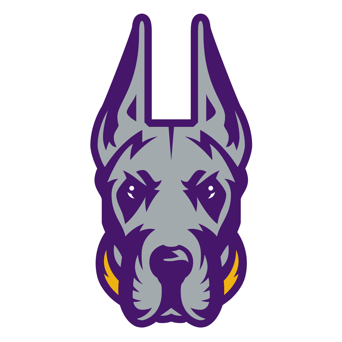 Albany athlete network