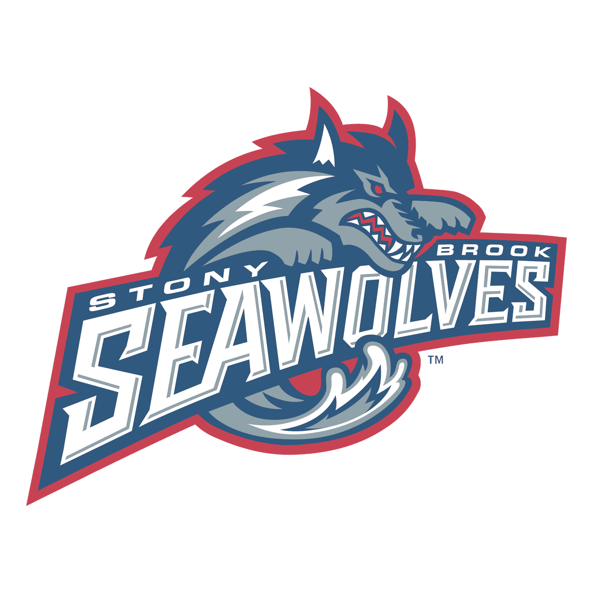 Stony Brook athlete network