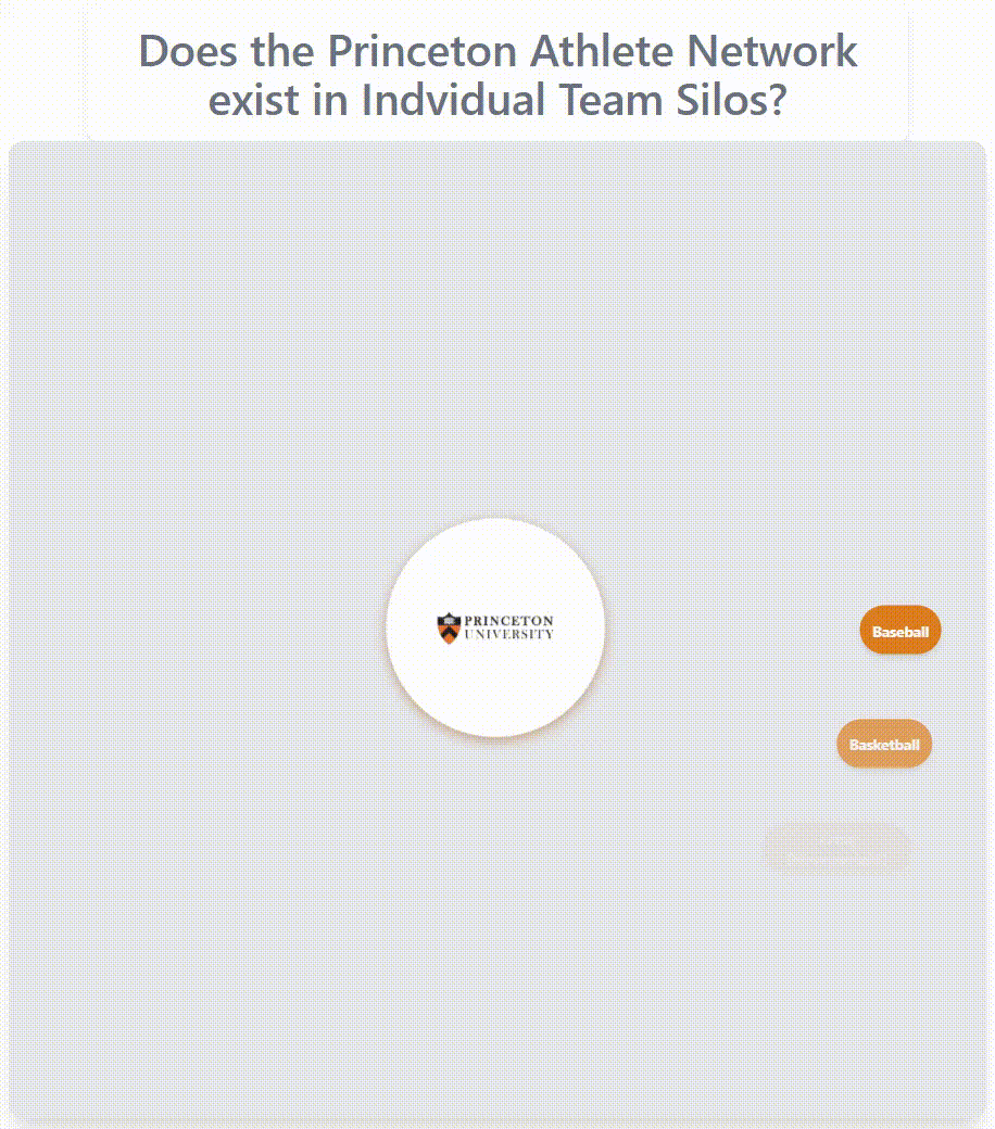 Princeton athlete network